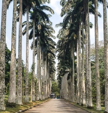Aburi Gardens