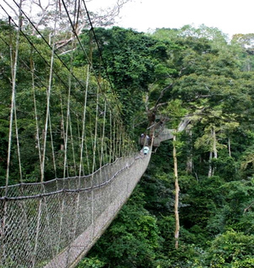 Kakum National Park